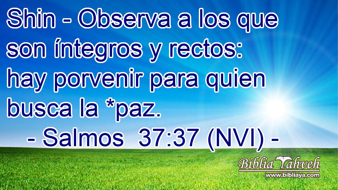  Shin - Observa a los que son íntegros y rectos: hay porvenir para quien busca la *paz. 