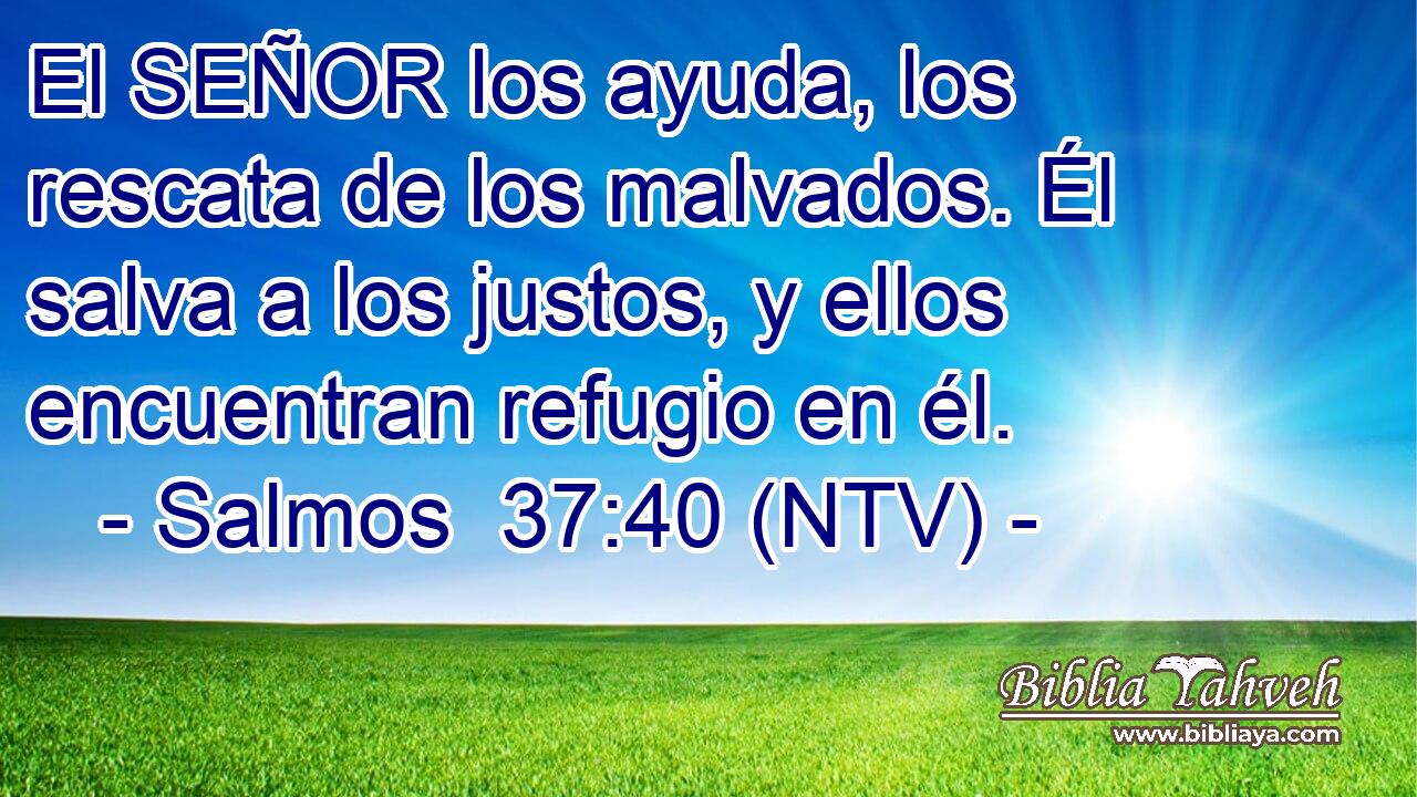 El SEÑOR los ayuda, los rescata de los malvados. Él salva a los justos, y ellos encuentran refugio en él.