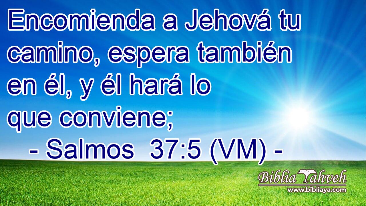  Encomienda a Jehová tu camino, espera también en él, y él hará lo que conviene; 