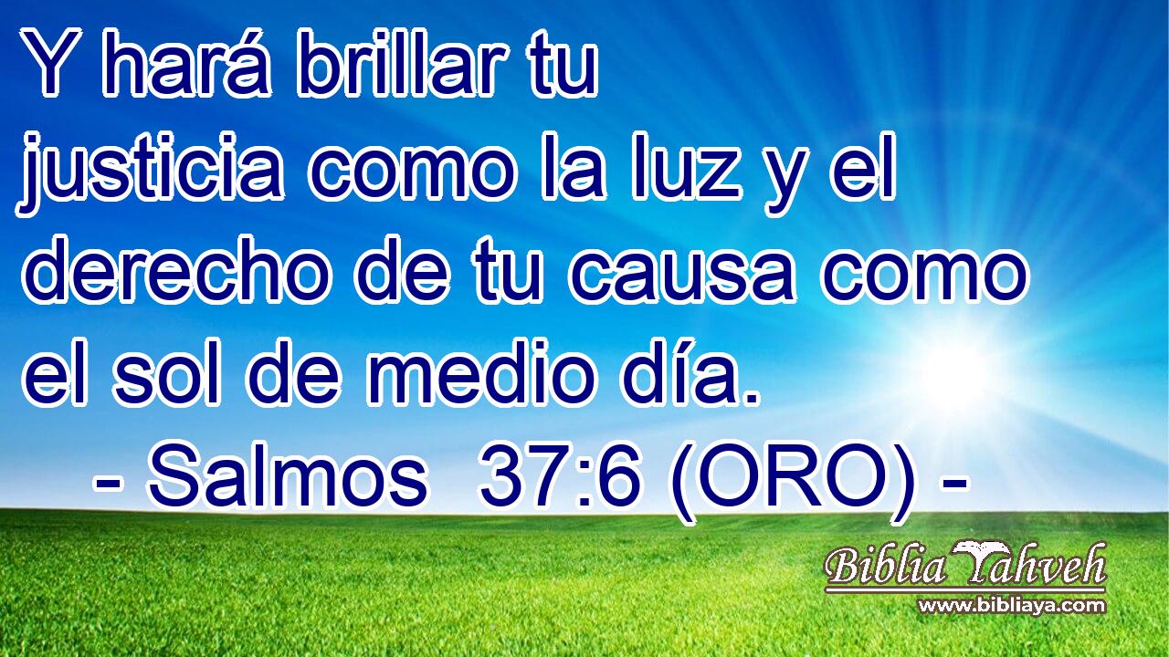  Y hará brillar tu justicia como la luz y el derecho de tu causa como el sol de medio día. 