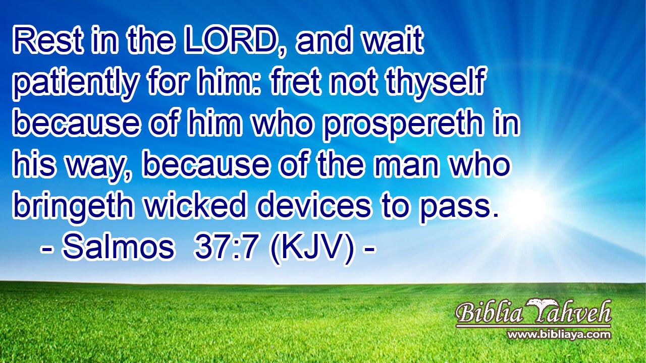 Rest in the LORD, and wait patiently for him: fret not thyself because of him who prospereth in his way, because of the man who bringeth wicked devices to pass.