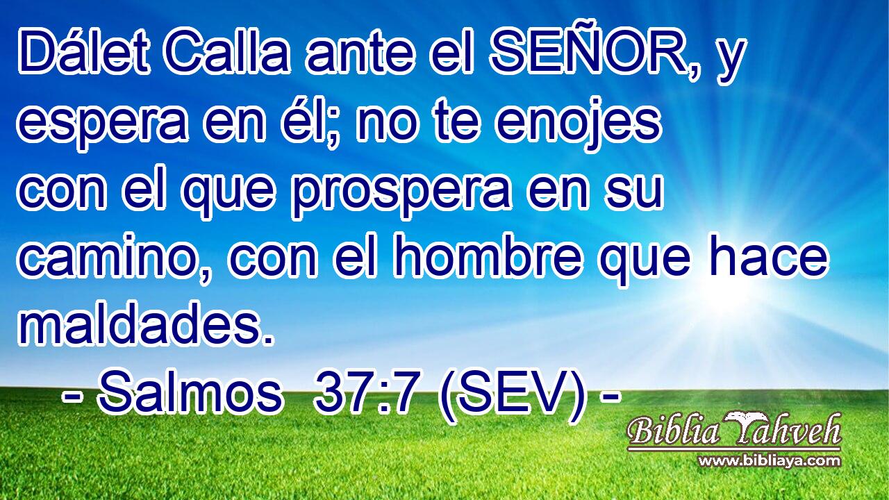 Dálet Calla ante el SEÑOR, y espera en él; no te enojes con el que prospera en su camino, con el hombre que hace maldades.