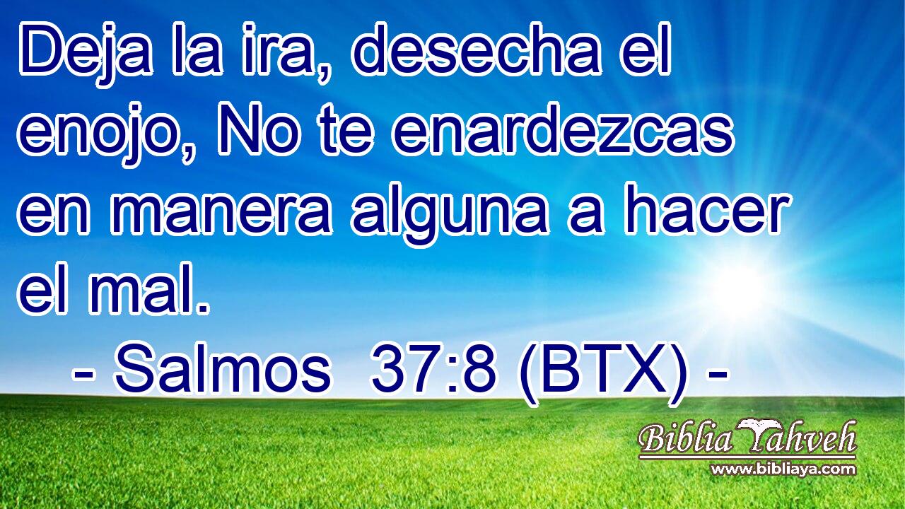 Deja la ira, desecha el enojo, No te enardezcas en manera alguna a hacer el mal.