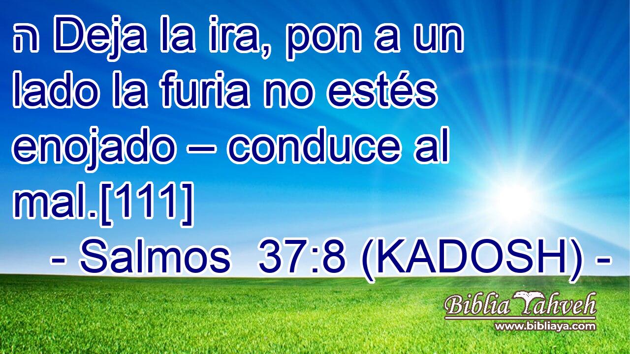  ה Deja la ira, pon a un lado la furia no estés enojado – conduce al mal.[111] 