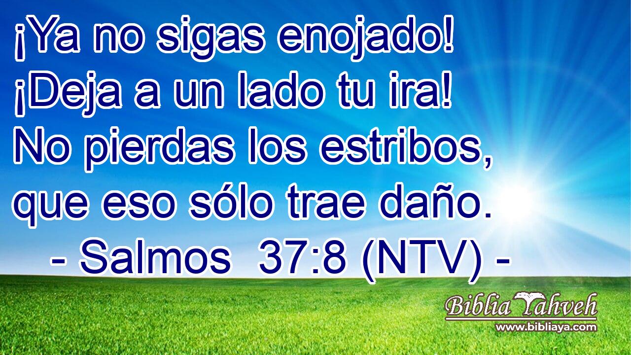 ¡Ya no sigas enojado! ¡Deja a un lado tu ira! No pierdas los estribos, que eso sólo trae daño.