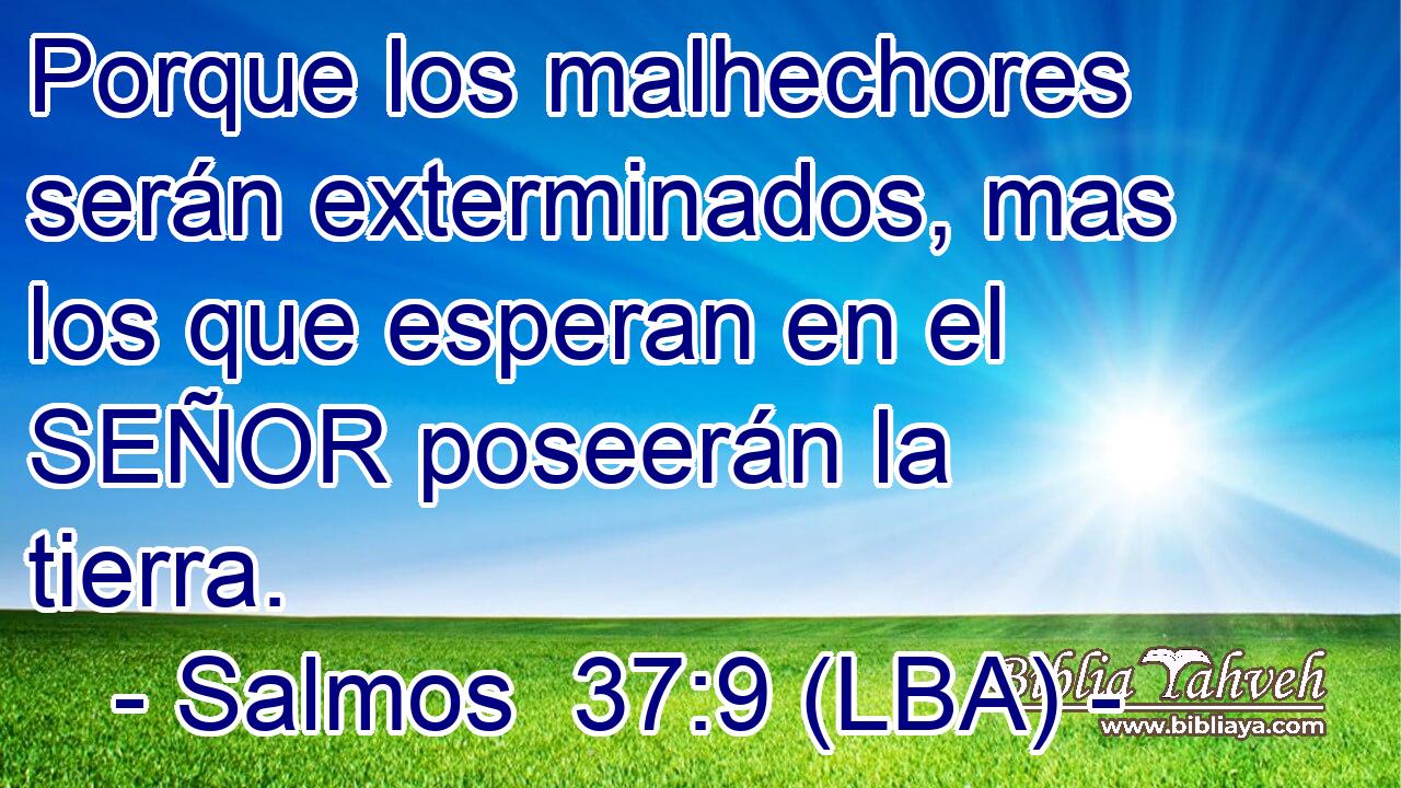 Porque los malhechores serán exterminados, mas los que esperan en el SEÑOR poseerán la tierra.