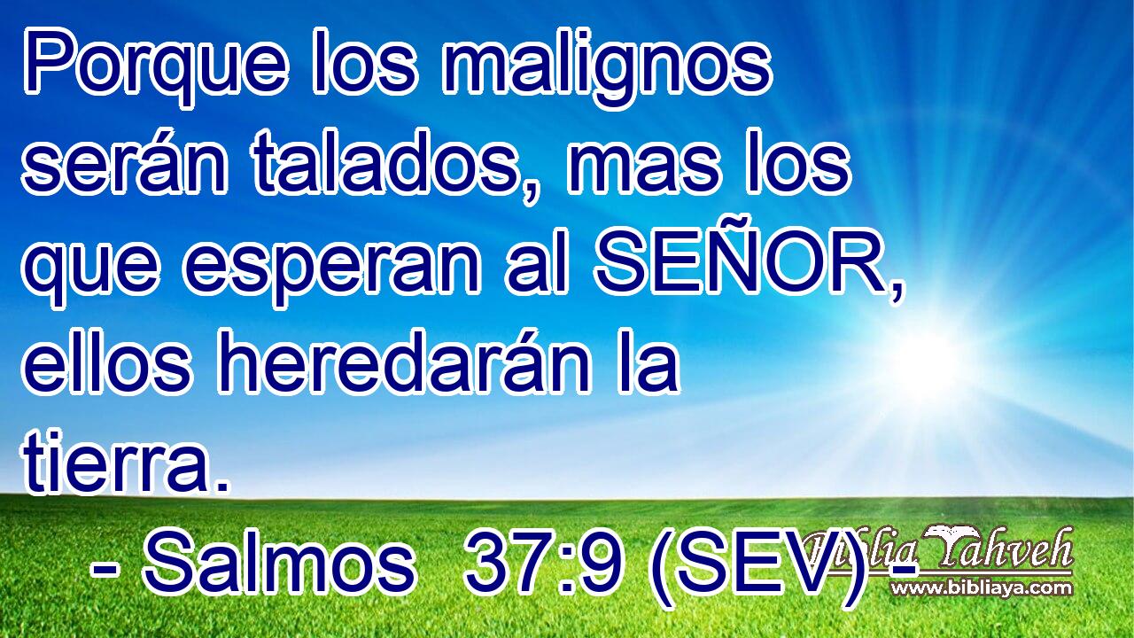 Porque los malignos serán talados, mas los que esperan al SEÑOR, ellos heredarán la tierra.