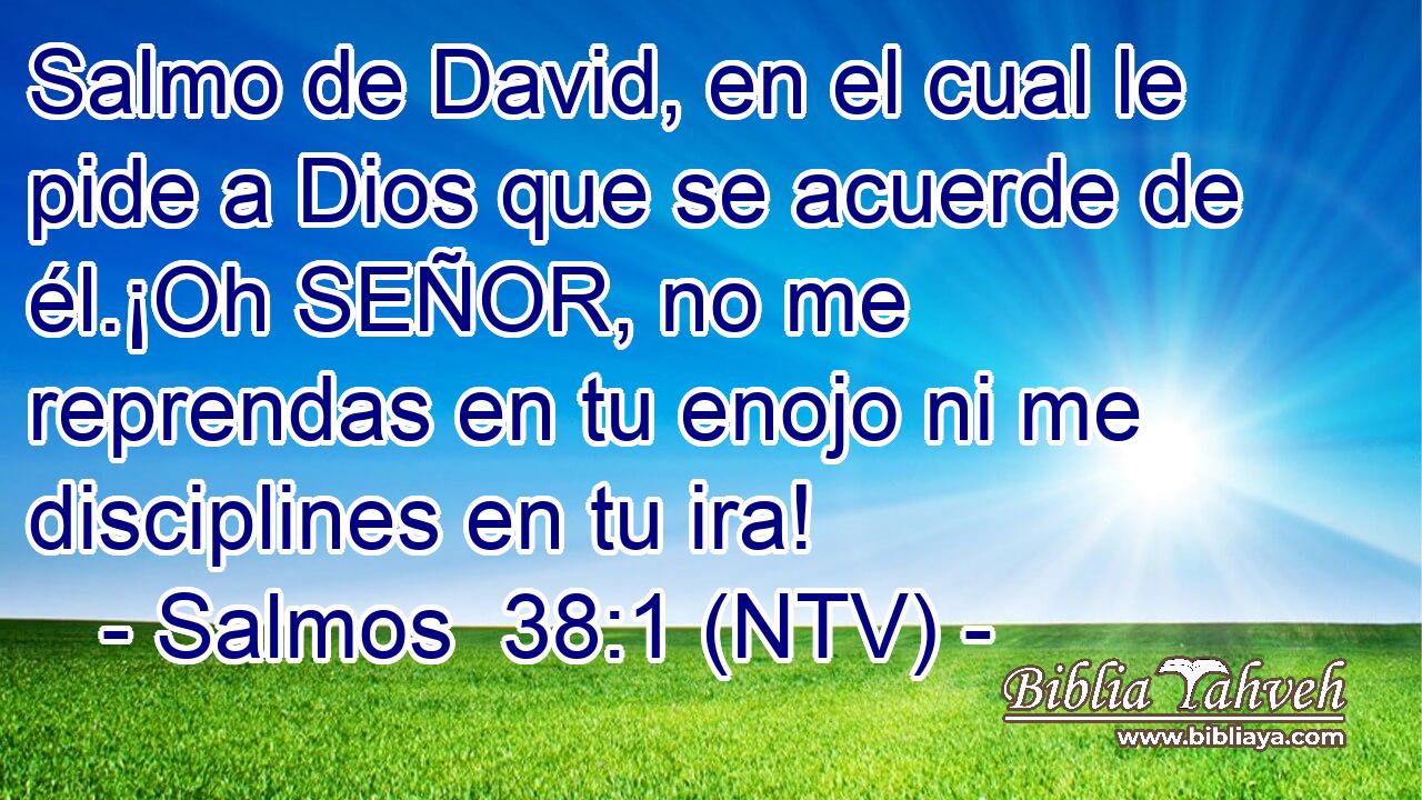 Salmo de David, en el cual le pide a Dios que se acuerde de él.¡Oh SEÑOR, no me reprendas en tu enojo ni me disciplines en tu ira!