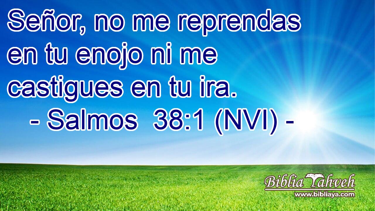  Señor, no me reprendas en tu enojo ni me castigues en tu ira. 