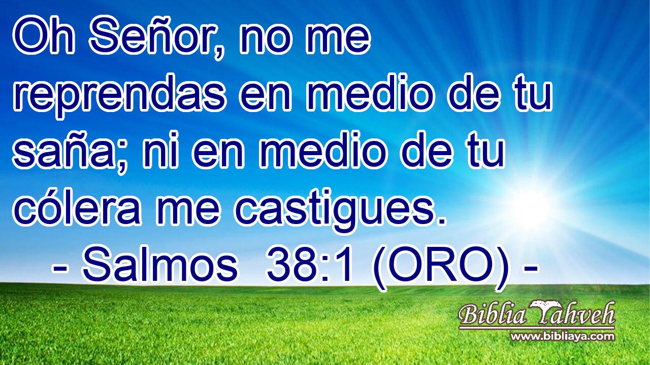  Oh Señor, no me reprendas en medio de tu saña; ni en medio de tu cólera me castigues. 