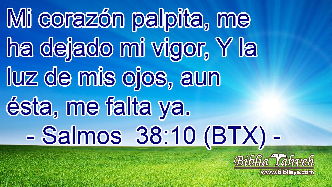 Mi corazón palpita, me ha dejado mi vigor, Y la luz de mis ojos, aun ésta, me falta ya.