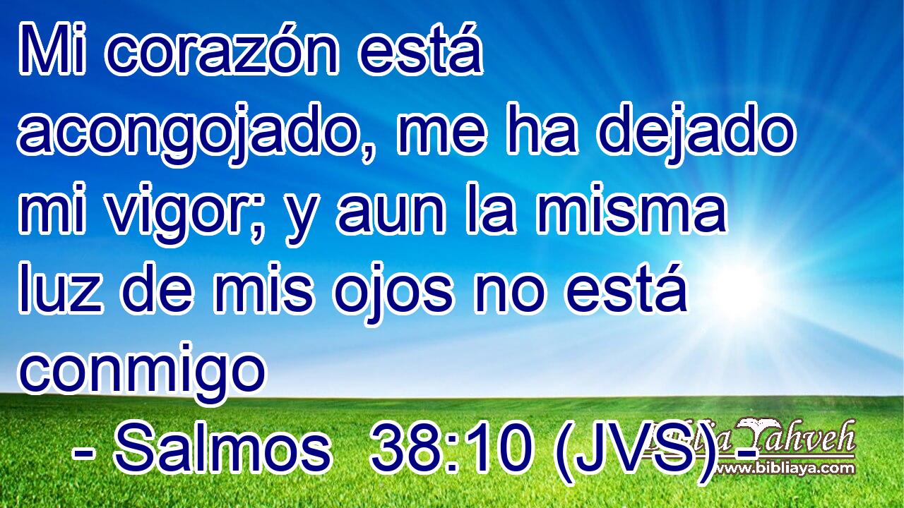 Mi corazón está acongojado, me ha dejado mi vigor; y aun la misma luz de mis ojos no está conmigo