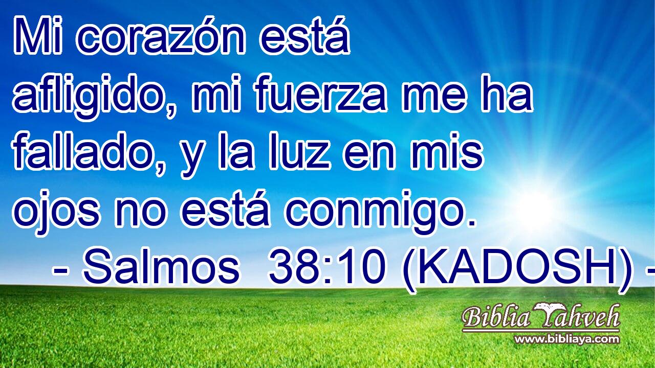  Mi corazón está afligido, mi fuerza me ha fallado, y la luz en mis ojos no está conmigo. 