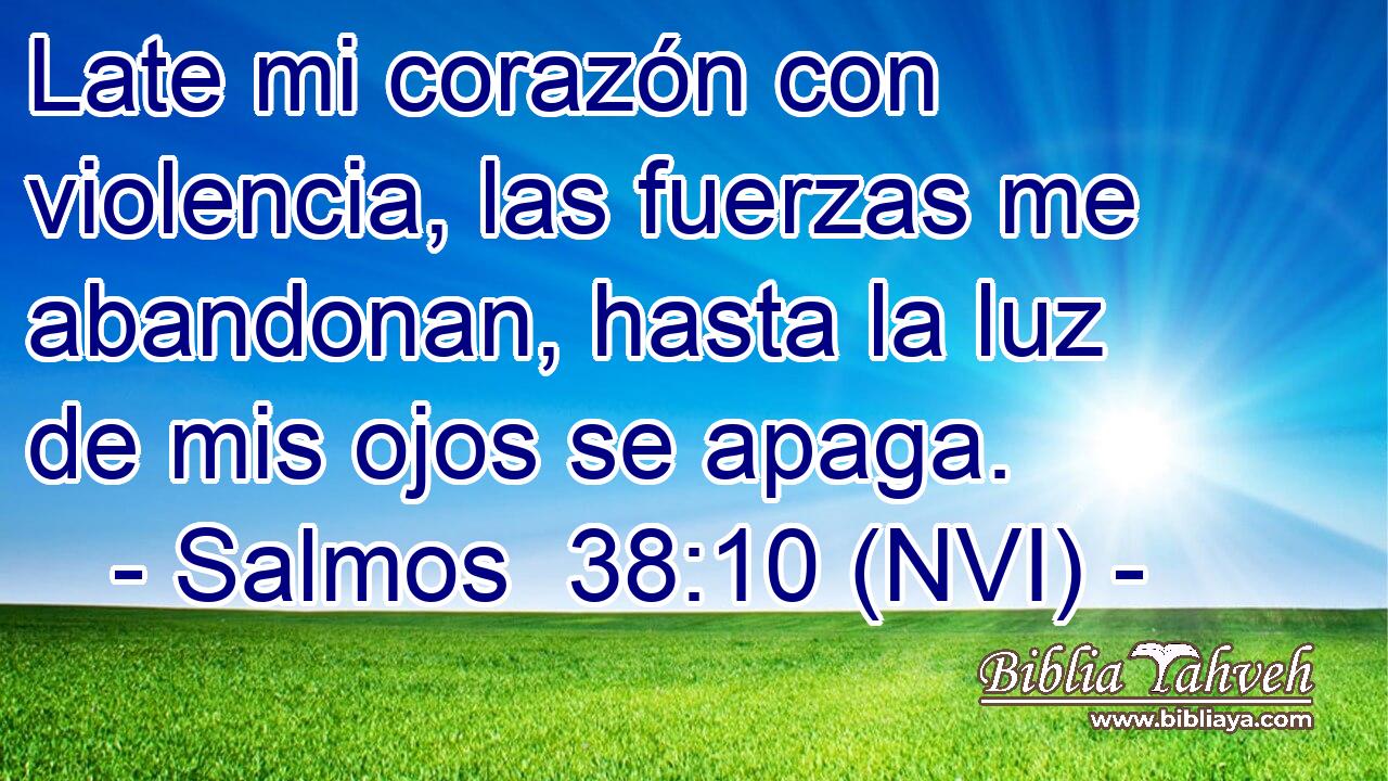  Late mi corazón con violencia, las fuerzas me abandonan, hasta la luz de mis ojos se apaga. 