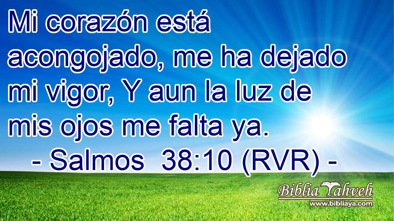 Mi corazón está acongojado, me ha dejado mi vigor, Y aun la luz de mis ojos me falta ya.