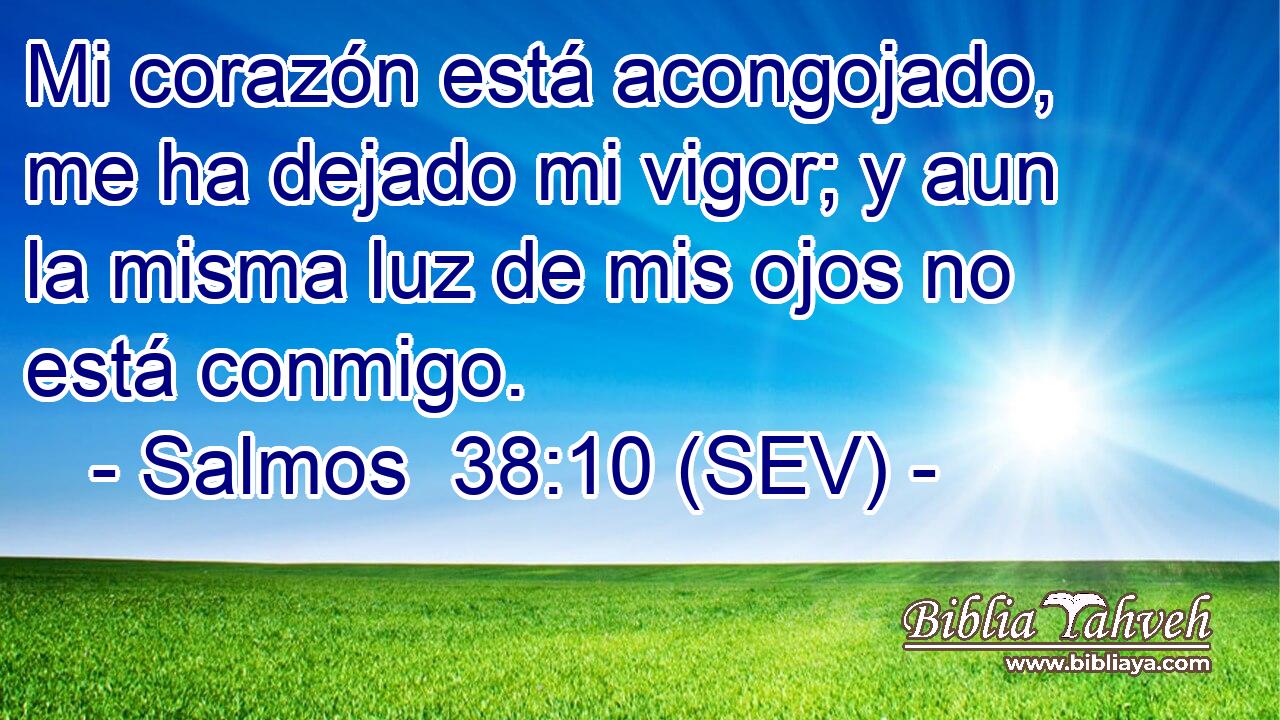Mi corazón está acongojado, me ha dejado mi vigor; y aun la misma luz de mis ojos no está conmigo.