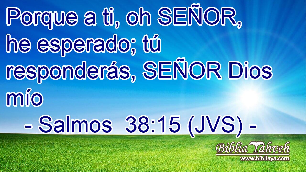 Porque a ti, oh SEÑOR, he esperado; tú responderás, SEÑOR Dios mío
