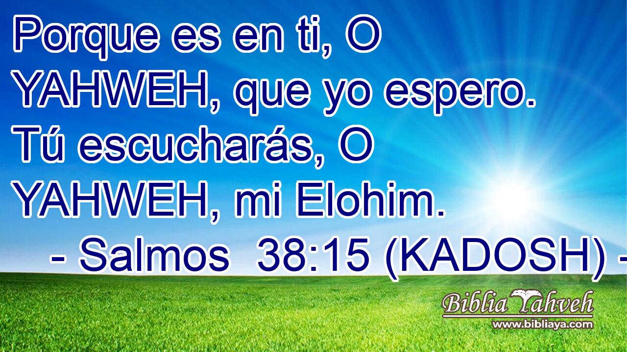  Porque es en ti, O YAHWEH, que yo espero. Tú escucharás, O YAHWEH, mi Elohim. 
