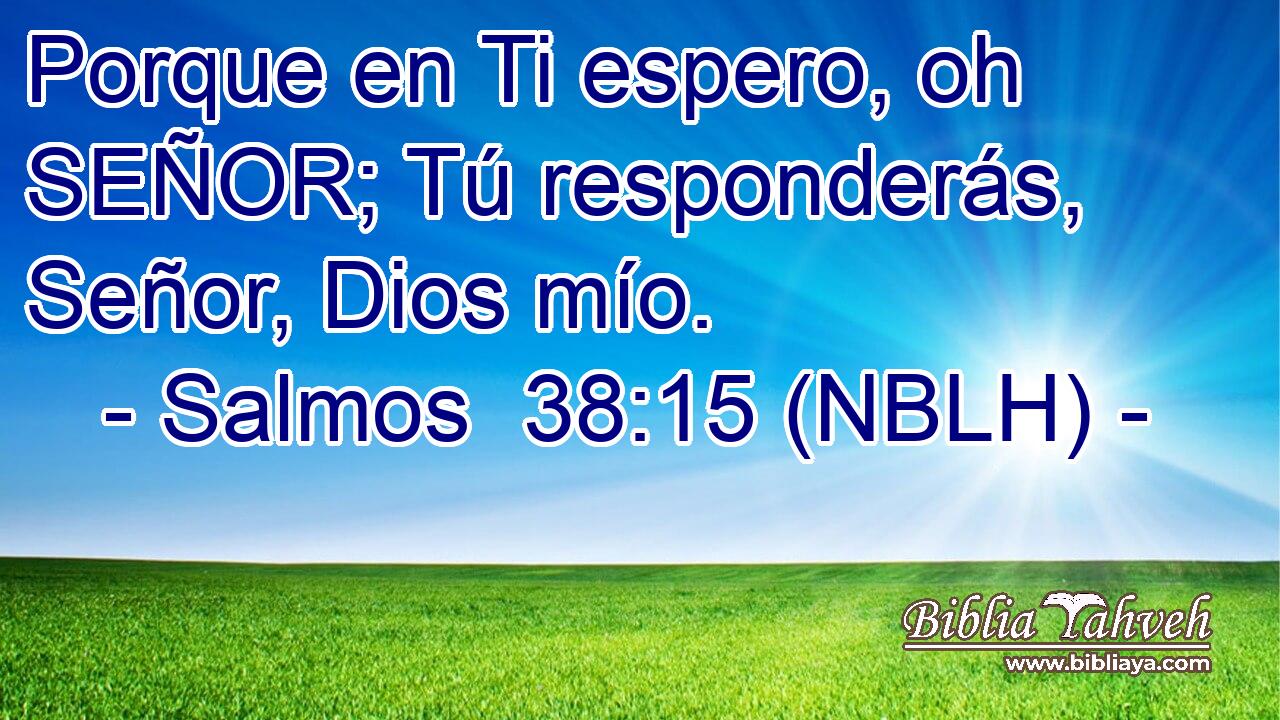  Porque en Ti espero, oh SEÑOR; Tú responderás, Señor, Dios mío. 