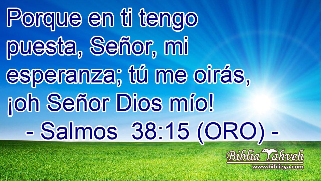  Porque en ti tengo puesta, Señor, mi esperanza; tú me oirás, ¡oh Señor Dios mío! 