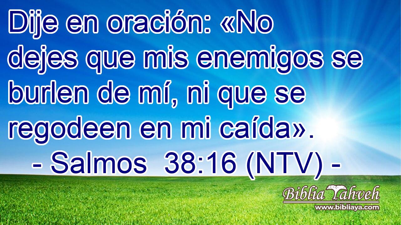 Dije en oración: «No dejes que mis enemigos se burlen de mí, ni que se regodeen en mi caída».