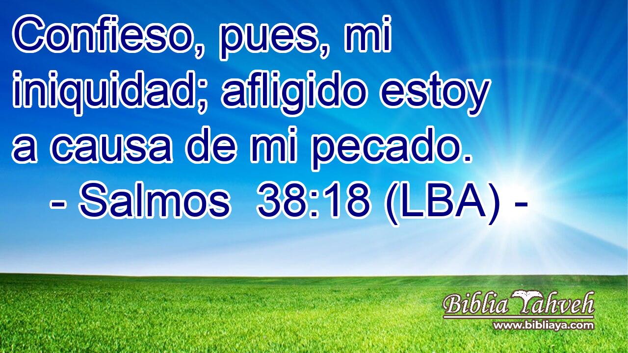 Confieso, pues, mi iniquidad; afligido estoy a causa de mi pecado.