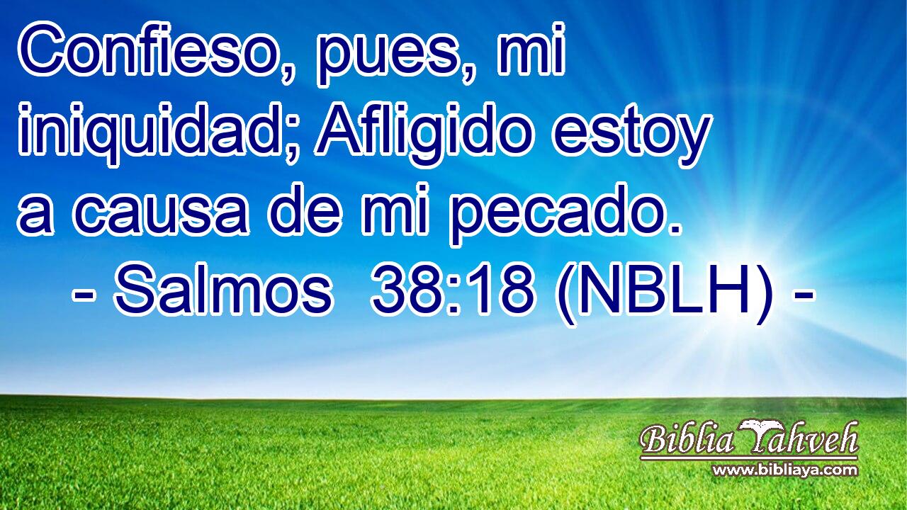  Confieso, pues, mi iniquidad; Afligido estoy a causa de mi pecado. 