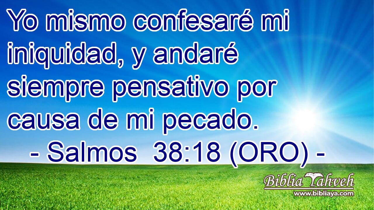  Yo mismo confesaré mi iniquidad, y andaré siempre pensativo por causa de mi pecado. 
