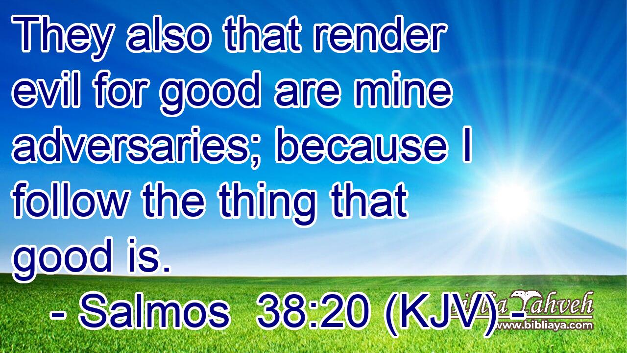 They also that render evil for good are mine adversaries; because I follow the thing that good is.