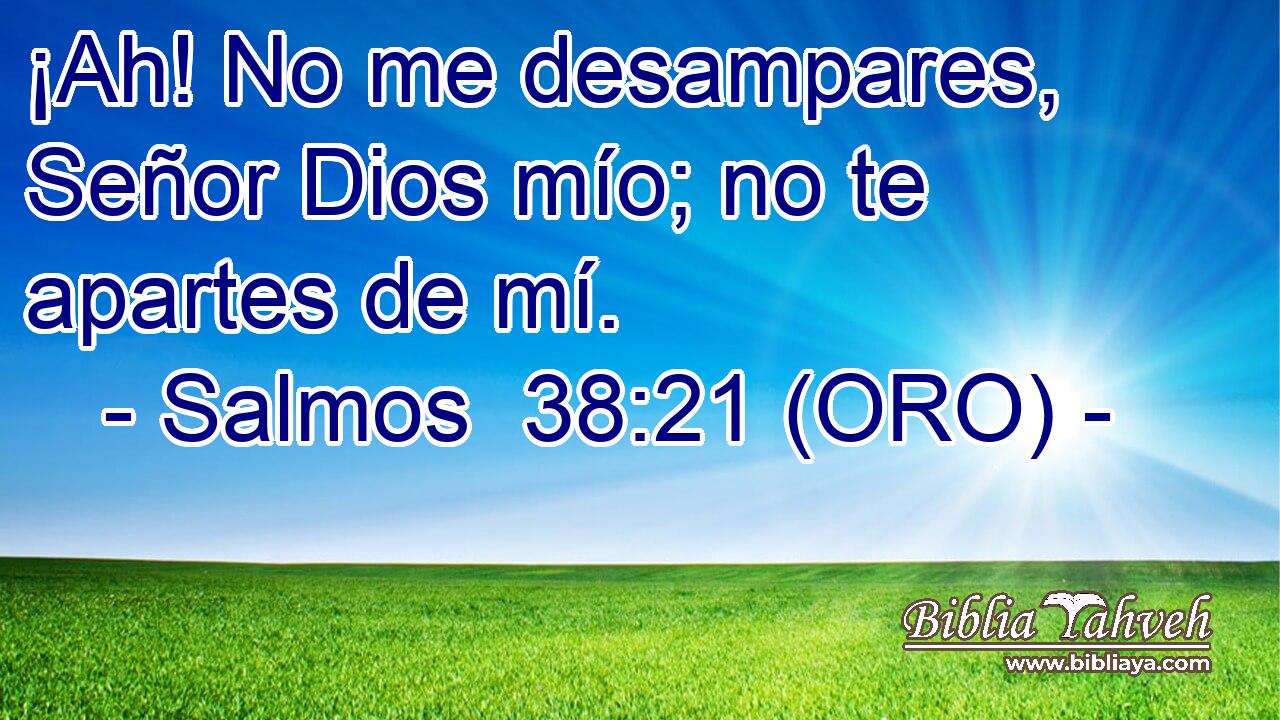  ¡Ah! No me desampares, Señor Dios mío; no te apartes de mí. 