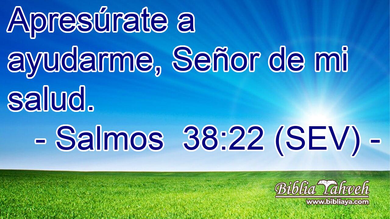 Apresúrate a ayudarme, Señor de mi salud.