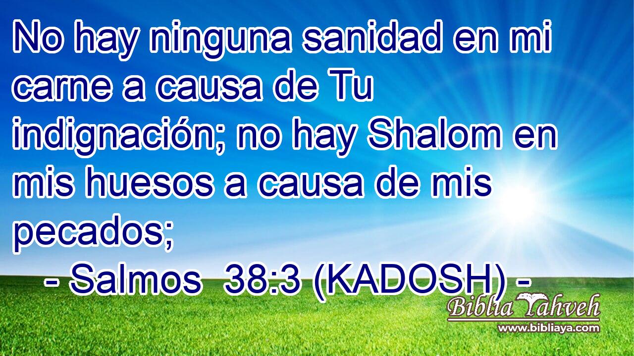  No hay ninguna sanidad en mi carne a causa de Tu indignación; no hay Shalom en mis huesos a causa de mis pecados; 