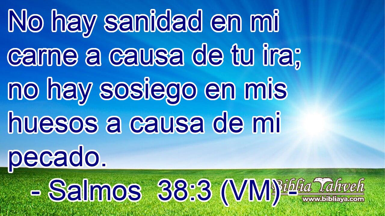  No hay sanidad en mi carne a causa de tu ira; no hay sosiego en mis huesos a causa de mi pecado. 