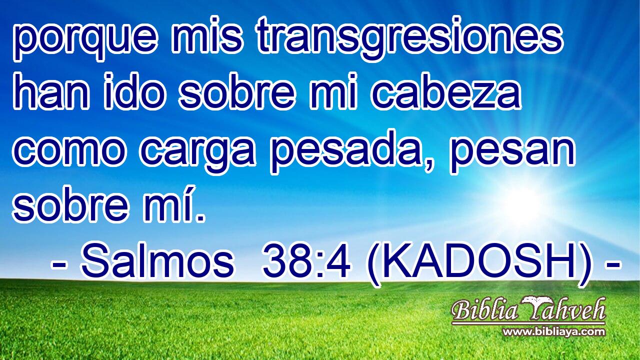  porque mis transgresiones han ido sobre mi cabeza como carga pesada, pesan sobre mí. 