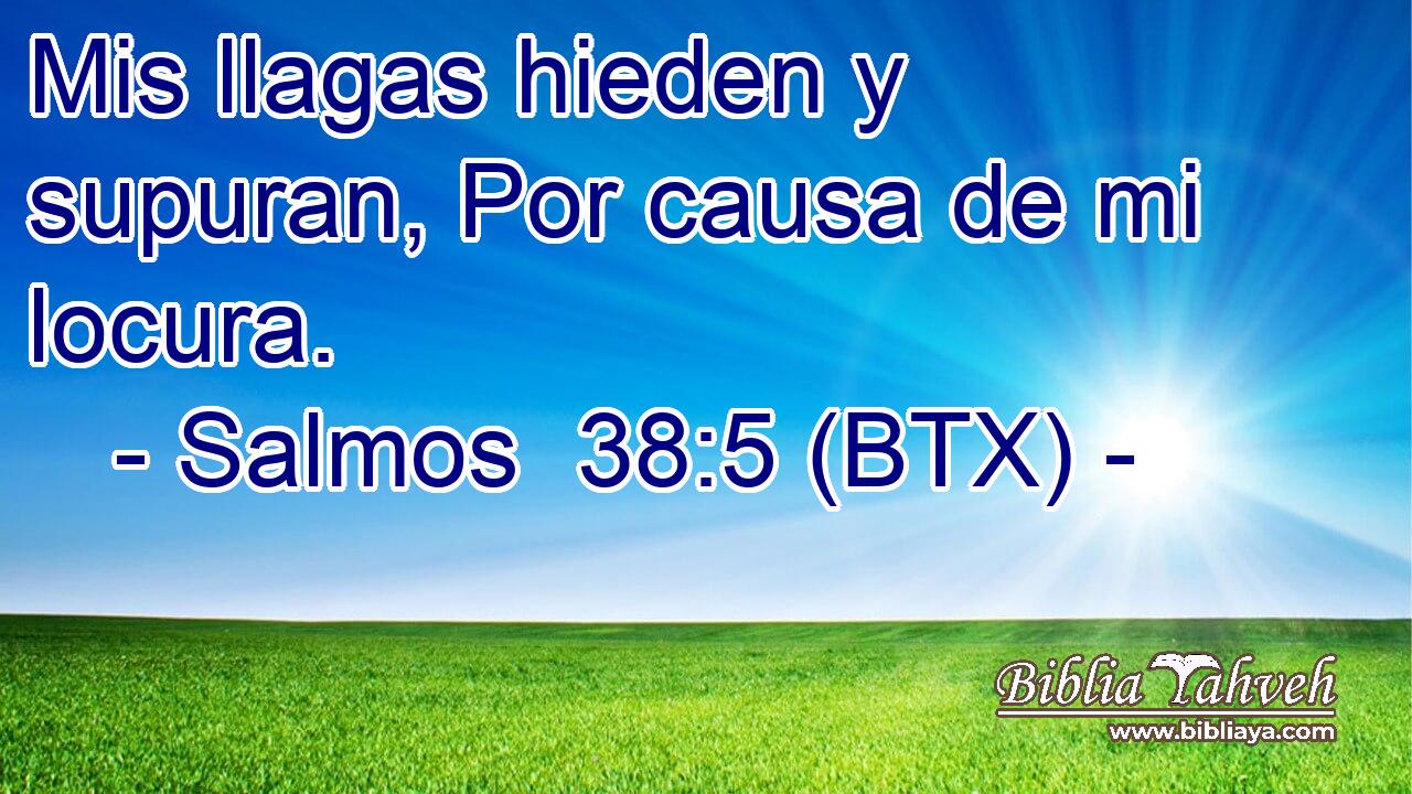 Mis llagas hieden y supuran, Por causa de mi locura.