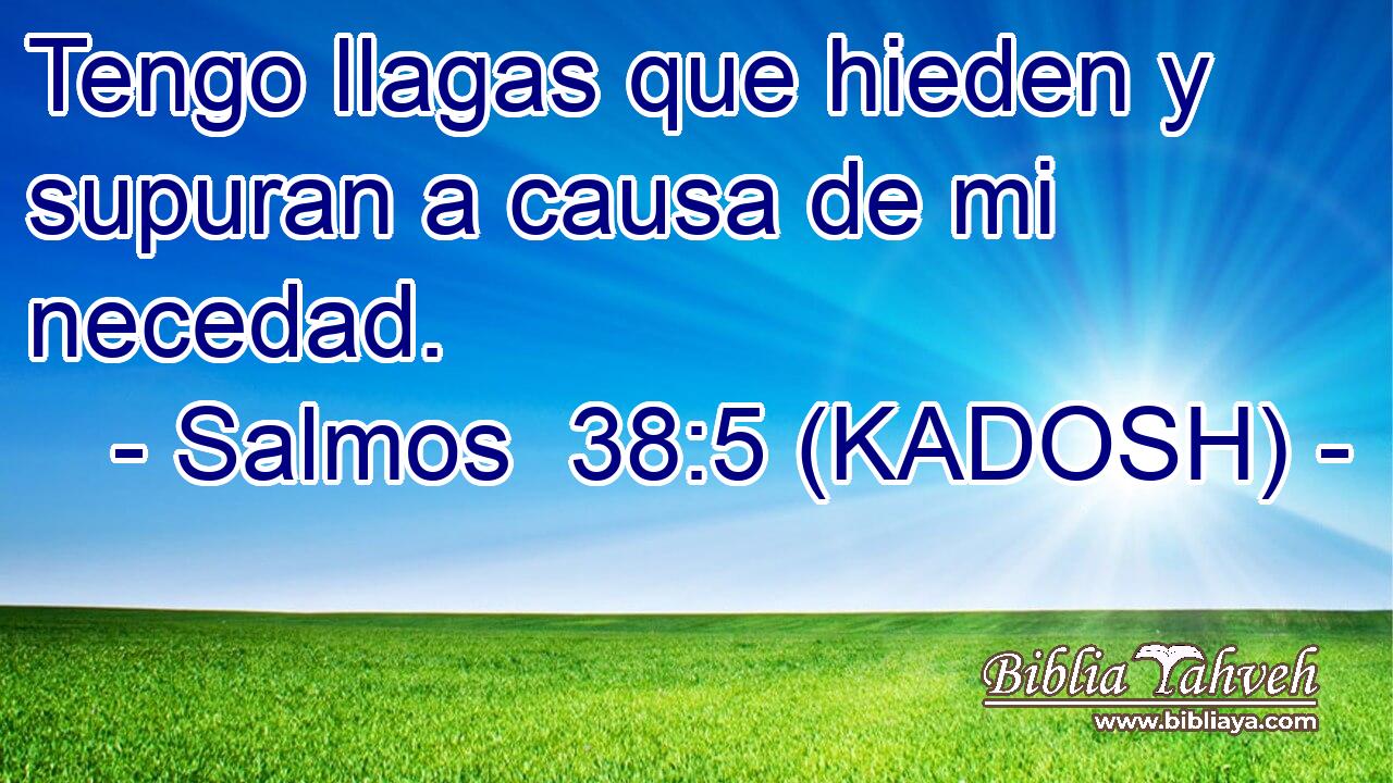  Tengo llagas que hieden y supuran a causa de mi necedad. 
