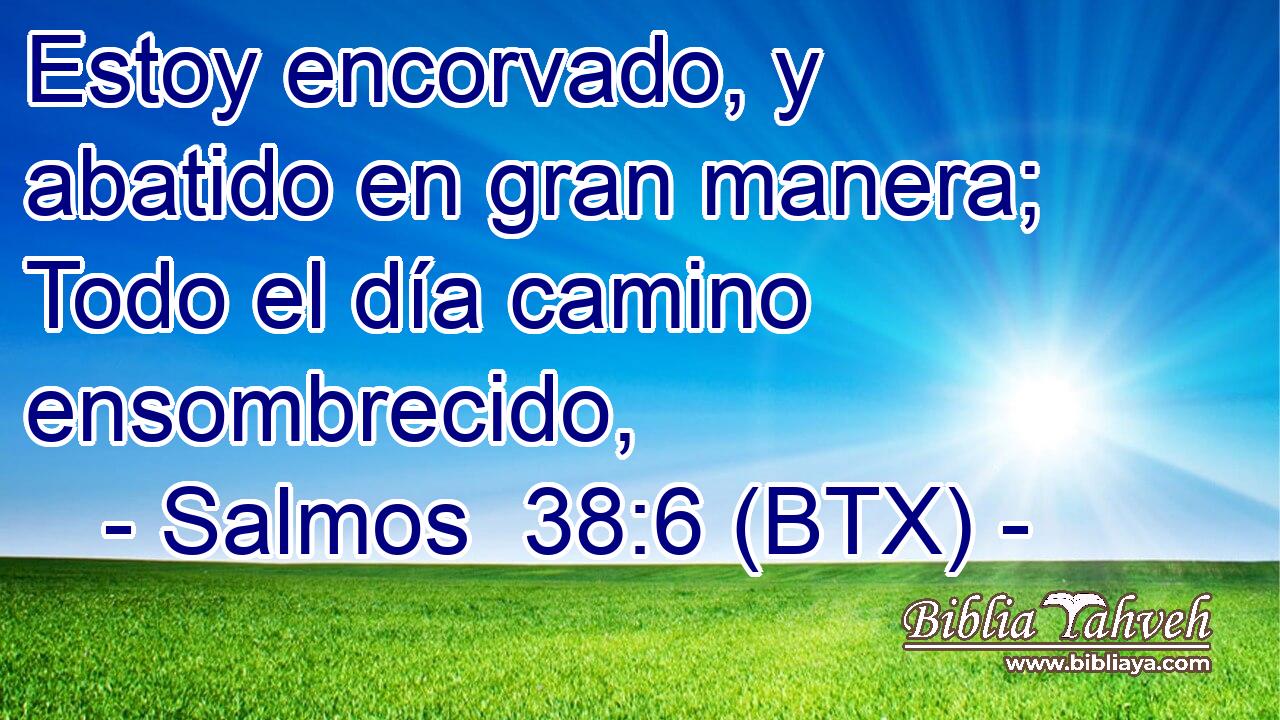 Estoy encorvado, y abatido en gran manera; Todo el día camino ensombrecido,