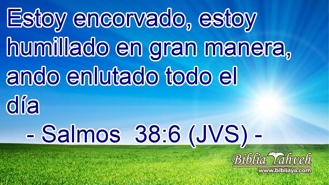 Estoy encorvado, estoy humillado en gran manera, ando enlutado todo el día