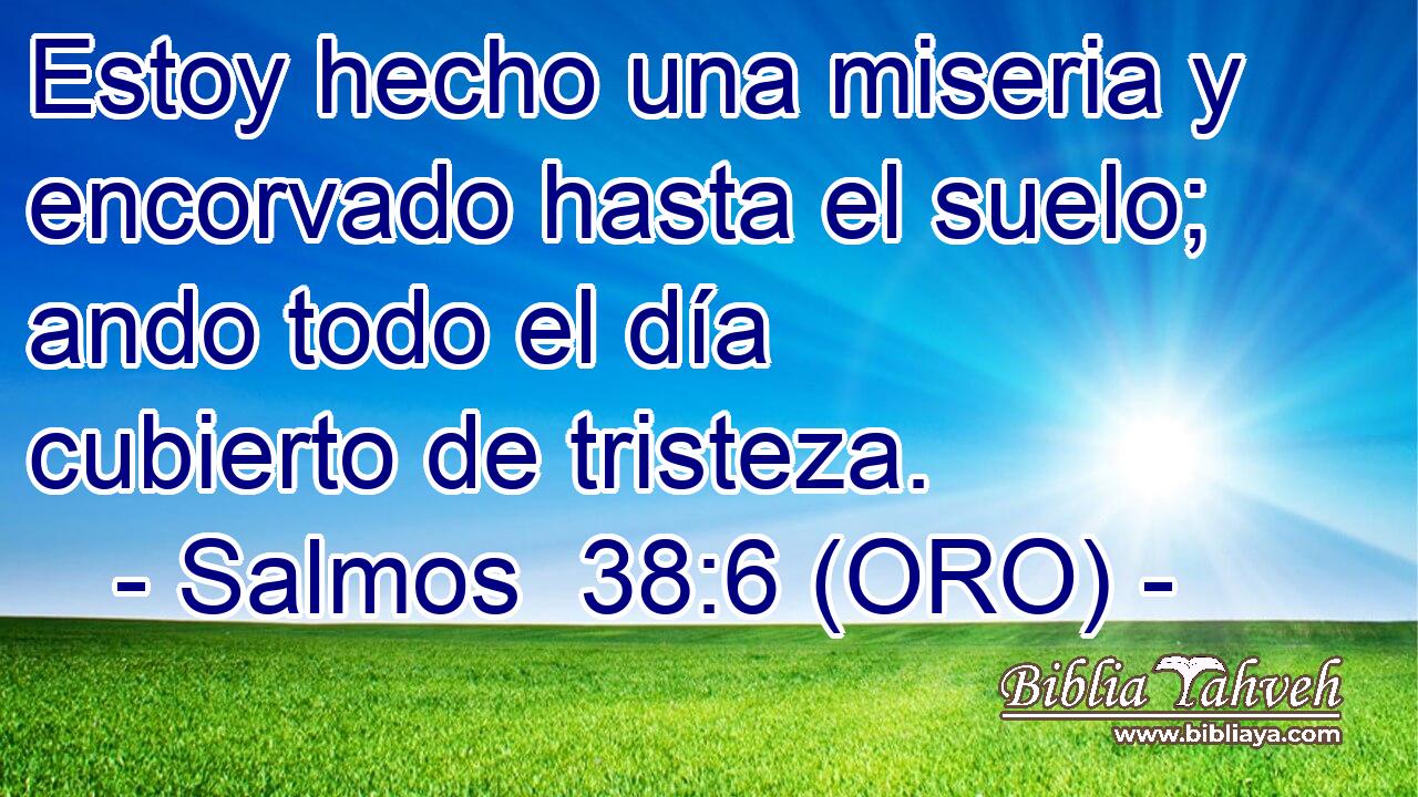  Estoy hecho una miseria y encorvado hasta el suelo; ando todo el día cubierto de tristeza. 