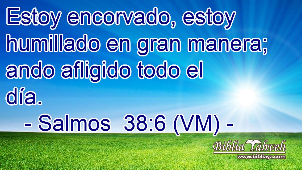  Estoy encorvado, estoy humillado en gran manera; ando afligido todo el día. 