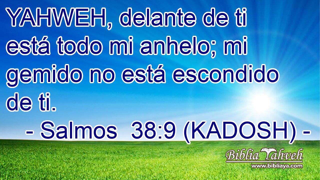  YAHWEH, delante de ti está todo mi anhelo; mi gemido no está escondido de ti. 