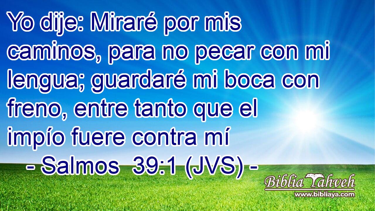 Yo dije: Miraré por mis caminos, para no pecar con mi lengua; guardaré mi boca con freno, entre tanto que el impío fuere contra mí