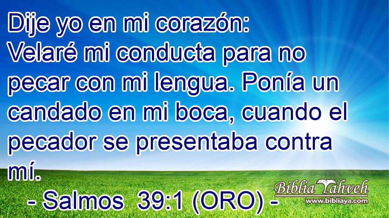  Dije yo en mi corazón: Velaré mi conducta para no pecar con mi lengua. Ponía un candado en mi boca, cuando el pecador se presentaba contra mí. 