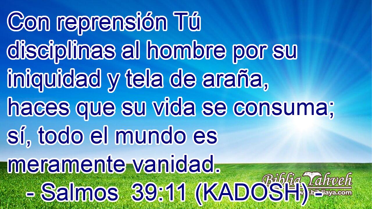  Con reprensión Tú disciplinas al hombre por su iniquidad y tela de araña, haces que su vida se consuma; sí, todo el mundo es meramente vanidad. 