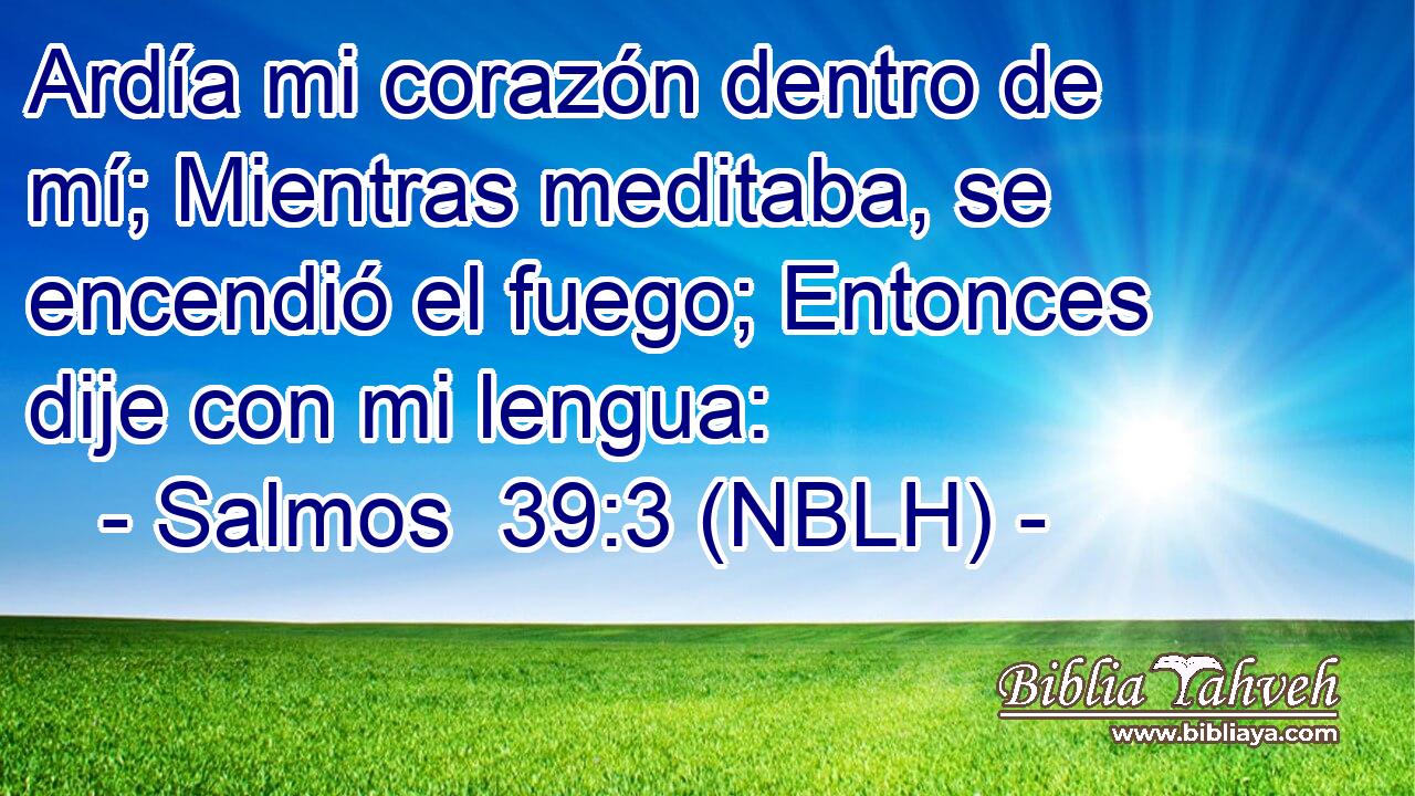  Ardía mi corazón dentro de mí; Mientras meditaba, se encendió el fuego; Entonces dije con mi lengua: 