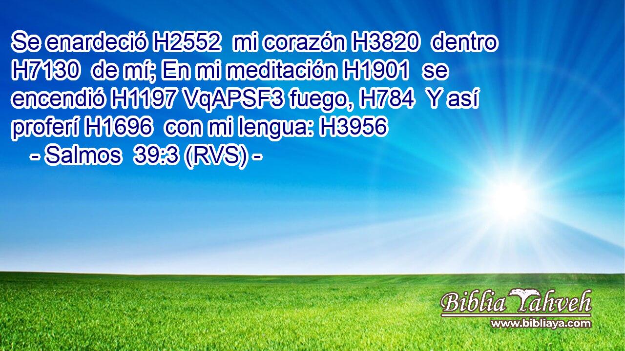 Se enardeció H2552  mi corazón H3820  dentro H7130  de mí; En mi meditación H1901  se encendió H1197 VqAPSF3 fuego, H784  Y así proferí H1696  con mi lengua: H3956  