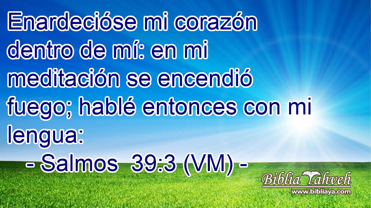  Enardecióse mi corazón dentro de mí: en mi meditación se encendió fuego; hablé entonces con mi lengua: 