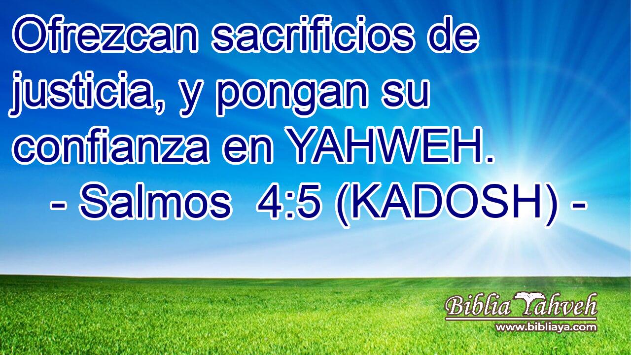  Ofrezcan sacrificios de justicia, y pongan su confianza en YAHWEH. 