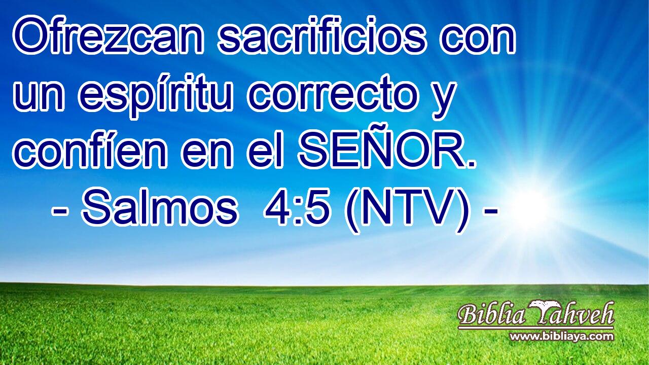 Ofrezcan sacrificios con un espíritu correcto y confíen en el SEÑOR.