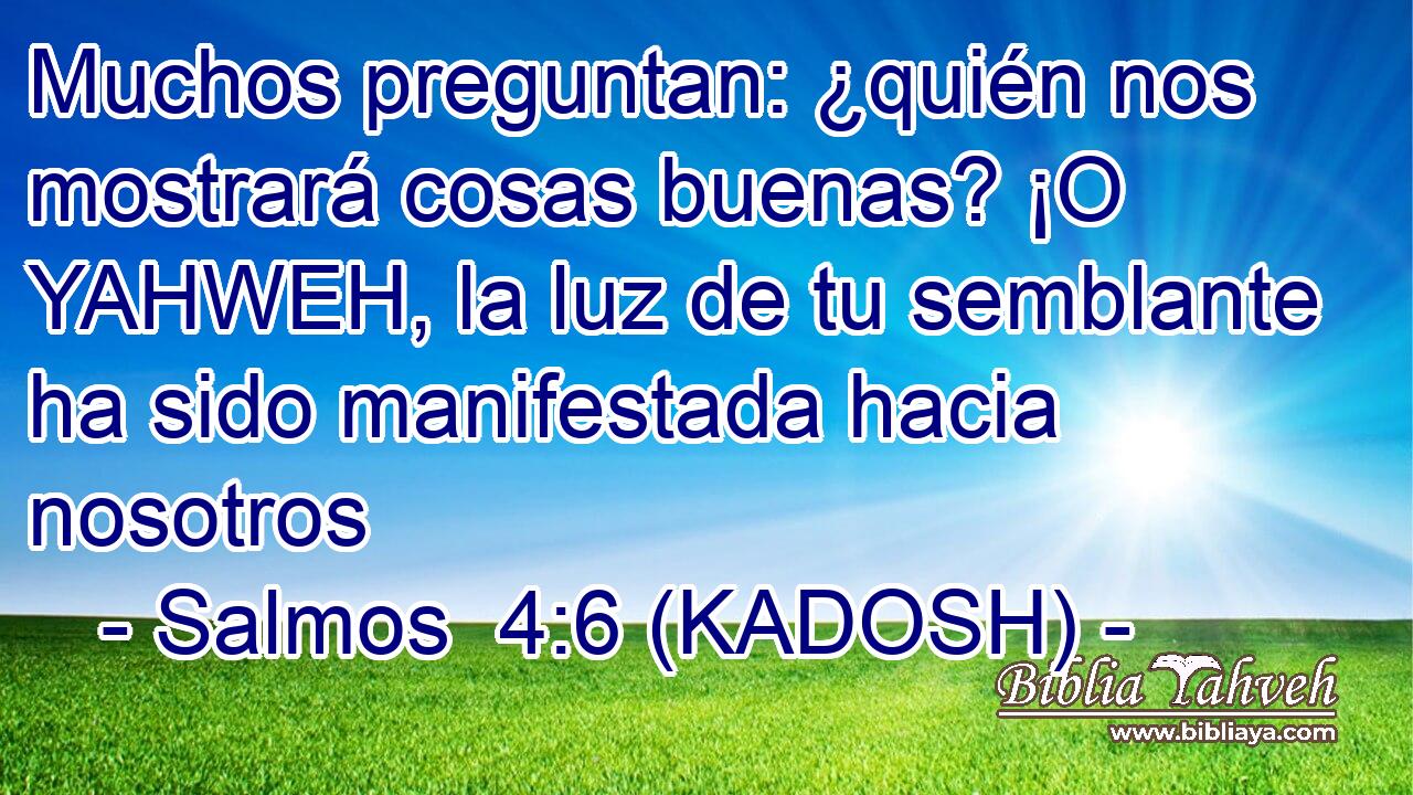  Muchos preguntan: ¿quién nos mostrará cosas buenas? ¡O YAHWEH, la luz de tu semblante ha sido manifestada hacia nosotros 